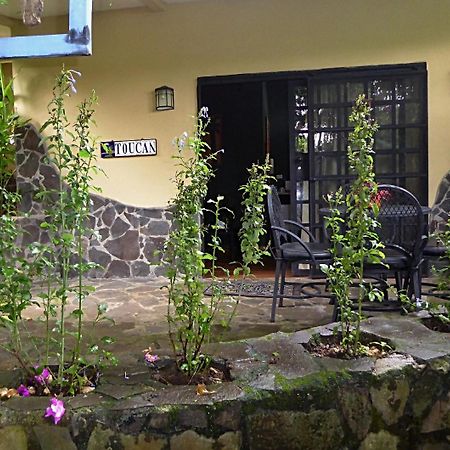 Pura Vida Hotel Алахуэла Экстерьер фото