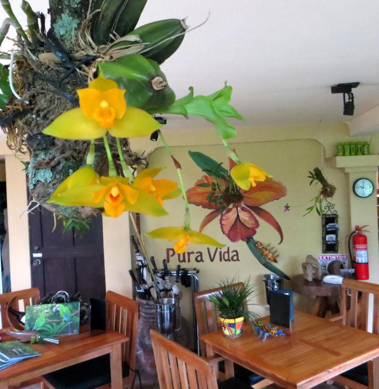 Pura Vida Hotel Алахуэла Экстерьер фото